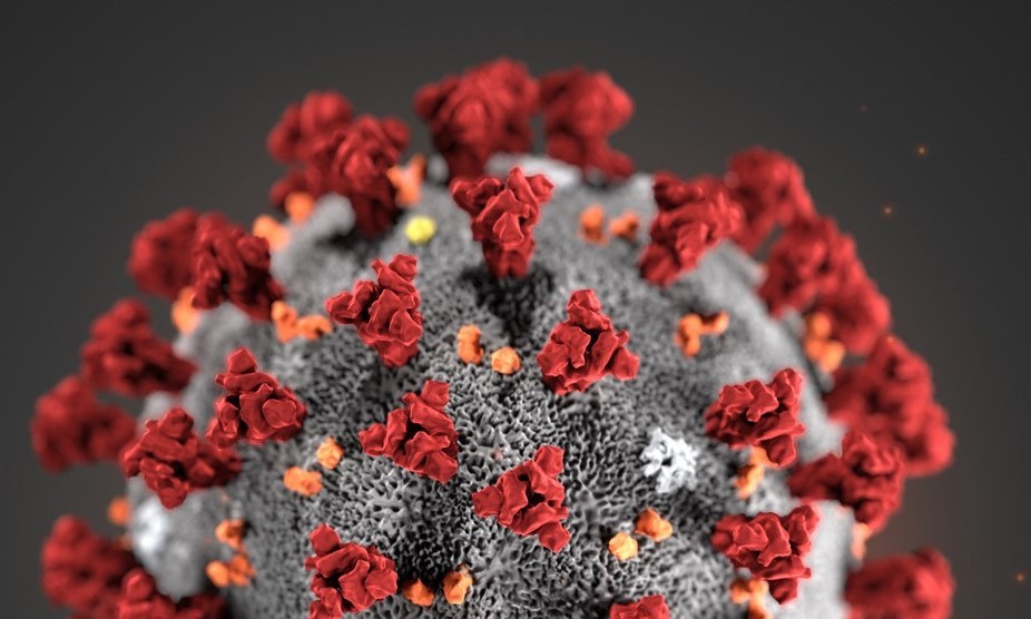Coronavirus Coronavirus